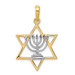 14K Yellow Gold Yellow Gold & Rhodium Solid Menorah In Star of David Charm - (A84-291)
