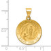 14K Yellow Gold Polished and Satin Our Lady of Lourdes Medal Pendant 19mm width - (B11-113)