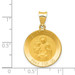 14K Yellow Gold Polished and Satin St. Anne Medal Pendant 18mm width - (B11-117) 14K Yellow Gold Polished and Satin St. Anne Medal Pendant 18mm width - (B11-117)