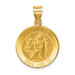 14K Yellow Gold Polished and Satin St. Luke Medal Pendant 19mm width - (B11-149) 14K Yellow Gold Polished and Satin St. Luke Medal Pendant 19mm width - (B11-149)