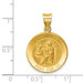 14K Yellow Gold Polished and Satin St. Luke Medal Pendant 19mm width - (B11-149) 14K Yellow Gold Polished and Satin St. Luke Medal Pendant 19mm width - (B11-149)
