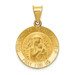 14K Yellow Gold Polished and Satin Our Lady of Perpetual Help Medal Pendant 19mm width - (B11-178)