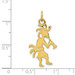 14K Yellow Gold Polished 3-Dimensional Kokopelli Charm - (A84-723) 14K Yellow Gold Polished 3-Dimensional Kokopelli Charm - (A84-723)