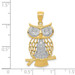 14K Two-tone Gold with Rhodium Diamond-cut Polished Moveable Owl Pendant - (A87-410)