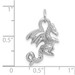 14K White Gold Solid Polished 3-Dimensional Dragon Charm - (A83-208) 14K White Gold Solid Polished 3-Dimensional Dragon Charm - (A83-208)