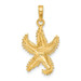 14K Yellow Gold Polished Open-Backed Starfish Pendant - (A83-490) 14K Yellow Gold Polished Open-Backed Starfish Pendant - (A83-490)