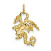 14K Yellow Gold Solid Polished 3-Dimensional Dragon Charm - (A84-730) 14K Yellow Gold Solid Polished 3-Dimensional Dragon Charm - (A84-730)