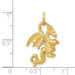 14K Yellow Gold Solid Polished 3-Dimensional Dragon Charm - (A84-730) 14K Yellow Gold Solid Polished 3-Dimensional Dragon Charm - (A84-730)