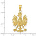 14K Yellow Gold Eagle Charm - (A85-746) 14K Yellow Gold Eagle Charm - (A85-746)