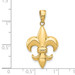 14K Yellow Gold Medium Fleur-De-Lis Pendant - (A84-903) 14K Yellow Gold Medium Fleur-De-Lis Pendant - (A84-903)