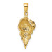 14K Yellow Gold Conch Shell Pendant - (A85-605)