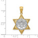 14k Two Tone Gold Star of David & Menorah Pendant - (A87-438) 14k Two Tone Gold Star of David & Menorah Pendant - (A87-438)