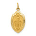 14K Yellow Gold Miraculous Medal Charm 12mm width - (B11-531) 14K Yellow Gold Miraculous Medal Charm 12mm width - (B11-531)