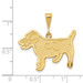 14K Yellow Gold Jack Russell Terrier Dog Pendant - (A87-216)