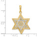 14K Yellow Gold Two-tone Solid Open-back Meshed Star of David Charm - (A84-269) 14K Yellow Gold Two-tone Solid Open-back Meshed Star of David Charm - (A84-269)