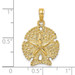 14K Yellow Gold Textured Sand Dollar Charm Pendant - (A92-371) 14K Yellow Gold Textured Sand Dollar Charm Pendant - (A92-371)