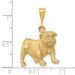 14K Yellow Gold Bulldog Pendant - (A83-705)