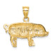 14K Yellow Gold Diamond-cut Pig Pendant - (A83-790)