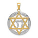 14K Yellow Gold Two-tone Jewish Star with Chai In Round Pendant - (A85-982) 14K Yellow Gold Two-tone Jewish Star with Chai In Round Pendant - (A85-982)