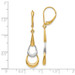 Leslie's 14K Two-tone Gold Polished Dangle Leverback Earrings 41mm length - (B44-286) Leslie's 14K Two-tone Gold Polished Dangle Leverback Earrings 41mm length - (B44-286)