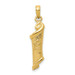 14K Yellow Gold Torah with Star of David Pendant - (A84-644)