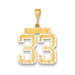 14k Yellow Gold Large Diamond-cut Number 33 Charm Pendant - (A87-535)