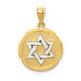 14K Two-tone Gold Solid Satin Finish Flat Back Star of David Disc Charm - (A84-340) 14K Two-tone Gold Solid Satin Finish Flat Back Star of David Disc Charm - (A84-340)