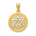 14K Two-tone Gold Solid Satin Finish Flat Back Star of David Disc Charm - (A84-340) 14K Two-tone Gold Solid Satin Finish Flat Back Star of David Disc Charm - (A84-340)