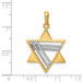 14K Two-tone Gold Star of David Pendant 34mm length - (A84-800) 14K Two-tone Gold Star of David Pendant 34mm length - (A84-800)