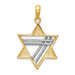 14K Two-tone Gold Star of David Pendant 34mm length - (A84-800) 14K Two-tone Gold Star of David Pendant 34mm length - (A84-800)
