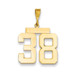 14k Yellow Gold Large Polished Number 38 Charm Pendant - (A86-496)