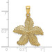 14K Yellow Gold Beaded Starfish Charm Pendant - (A93-169) 14K Yellow Gold Beaded Starfish Charm Pendant - (A93-169)