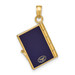 14K Yellow Gold Enamel 3-D Passport Pendant - (B11-995)