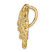 14K Yellow Gold Small Lion's Paw Shell Slide - (A89-770)