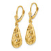 14K Yellow Gold Polished & Diamond-cut Dangle Leverback Earrings - (B36-765) 14K Yellow Gold Polished & Diamond-cut Dangle Leverback Earrings - (B36-765)