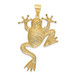 14K Yellow Gold and Rhodium Diamond-cut Frog Pendant - (A85-315) 14K Yellow Gold and Rhodium Diamond-cut Frog Pendant - (A85-315)