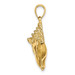 14K Yellow Gold 2-D Conch Shell Charm Pendant - (A92-632) 14K Yellow Gold 2-D Conch Shell Charm Pendant - (A92-632)