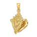 14K Yellow Gold 2-D Conch Shell Charm Pendant - (A92-632) 14K Yellow Gold 2-D Conch Shell Charm Pendant - (A92-632)