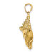 14K Yellow Gold 2-D Conch Shell Charm Pendant - (A92-632) 14K Yellow Gold 2-D Conch Shell Charm Pendant - (A92-632)