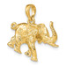 14K Yellow Gold 3-D Elephant Profile With Tusk Charm Pendant - (A91-282)