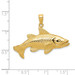 14K Yellow Gold Polished Open-Backed RedFish Pendant - (A83-298)