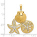 14k Yellow Gold and White Rhodium Diamond-cut Scallop, Starfish, with Sand Dollar Cluster Charm Pendant - (A94-150) 14k Yellow Gold and White Rhodium Diamond-cut Scallop, Starfish, with Sand Dollar Cluster Charm Pendant - (A94-150)