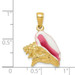 14K Yellow Gold Polished 3-Dimensional Pink & White Enameled Conch Shell Pendant - (A84-773)