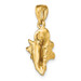 14K Yellow Gold 3-D Conch Shell Charm Pendant - (A92-652) 14K Yellow Gold 3-D Conch Shell Charm Pendant - (A92-652)