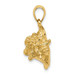 14K Yellow Gold 3-D Conch Shell Charm Pendant - (A92-652) 14K Yellow Gold 3-D Conch Shell Charm Pendant - (A92-652)