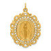 14K Yellow Gold Solid Satin Finish Fancy Pierced Oval Miraculous Medal - (B14-624)