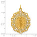 14K Yellow Gold Solid Satin Finish Fancy Pierced Oval Miraculous Medal - (B14-624)