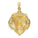 14K Yellow Gold Lion Charm - (A85-571) 14K Yellow Gold Lion Charm - (A85-571)