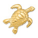14K Yellow Gold Polished and 2-D Sea Turtle Slide - (B14-380)