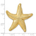 14K Yellow Gold Textured Fits up to 6mm, 8mm Starfish Slide - (A90-361)